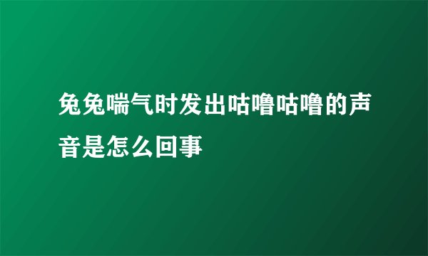 兔兔喘气时发出咕噜咕噜的声音是怎么回事