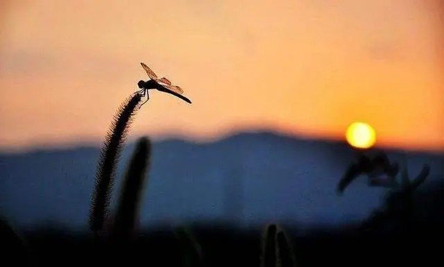 晚上睡不着正能量入口