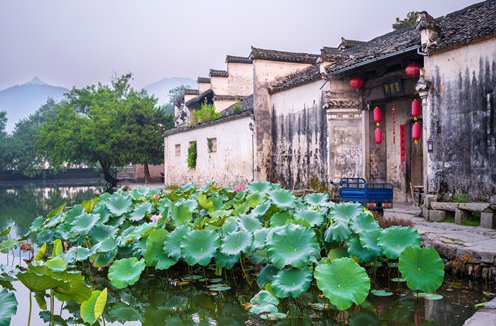 2023年安徽高考状元是谁