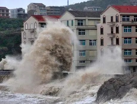 卫辉一大爷哽咽说自己家没了令人心疼，从大爷的这句话中提现出了什么？