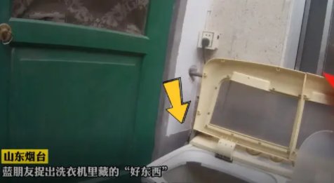 山东女子洗衣机洗出一条蛇，吓得报警求助，消防员为何说这是好东西？