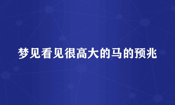 梦见看见很高大的马的预兆