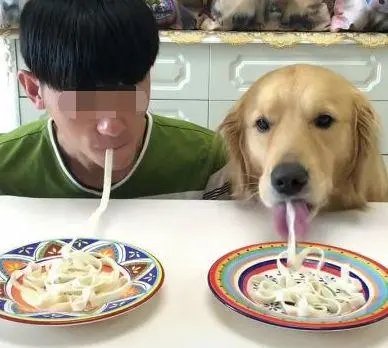 中山一狗狗进饭店后在婴儿座椅内进食，狗主人的做法合适么？