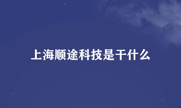上海顺途科技是干什么