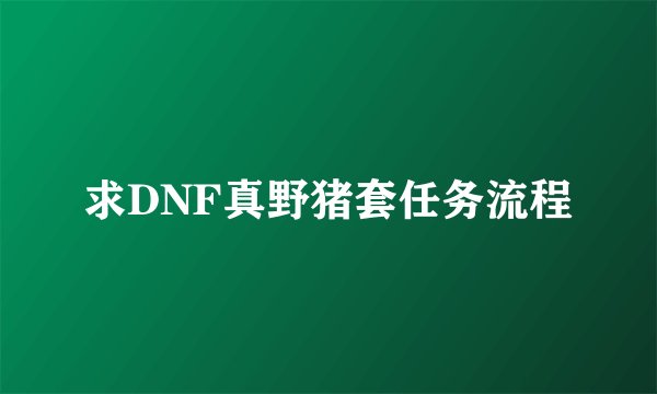 求DNF真野猪套任务流程