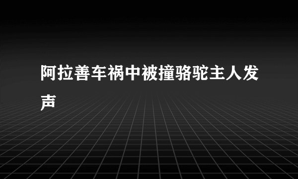 阿拉善车祸中被撞骆驼主人发声