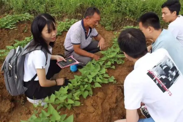 高考报名社会实践怎么写200字