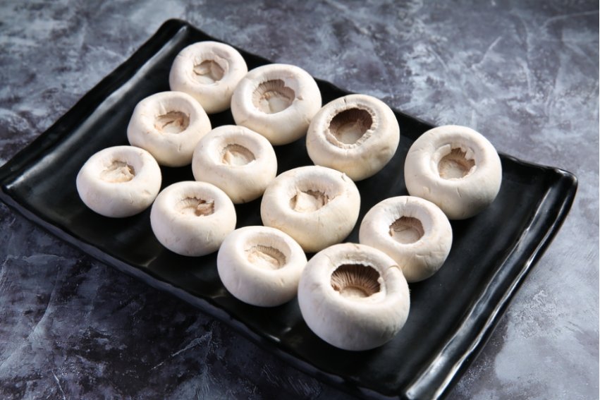 口蘑中的口字怎么读