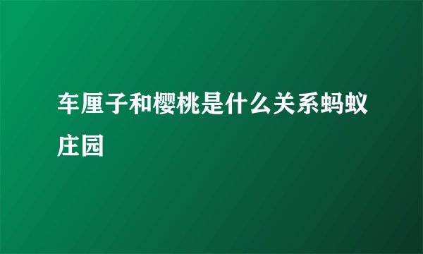 车厘子和樱桃是什么关系蚂蚁庄园