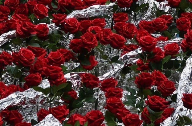 kenny英文名怎么读