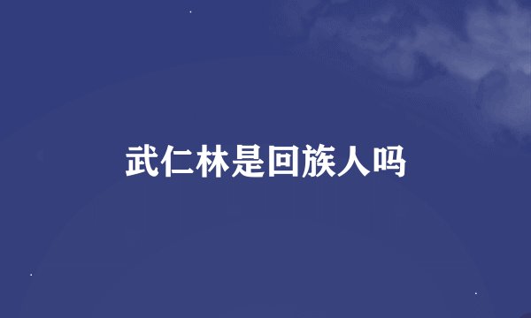 武仁林是回族人吗