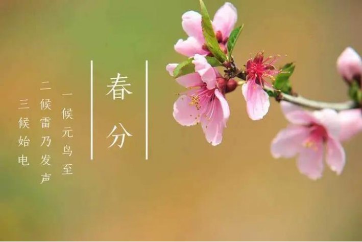 春分前后有个重要节日是什么蚂蚁