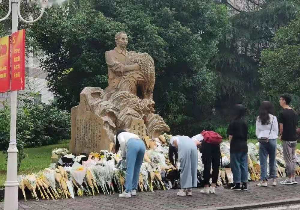 “湘雅医院门口的三束水稻”引热议，这代表了什么？