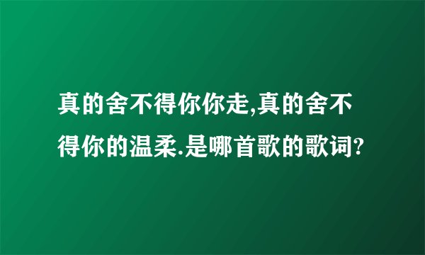 真的舍不得你你走,真的舍不得你的温柔.是哪首歌的歌词?