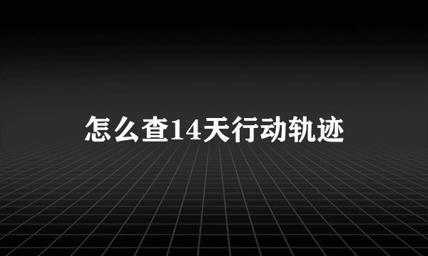 怎么查14天行动轨迹
