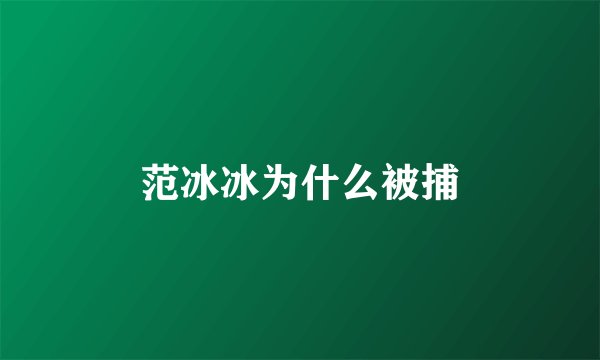 范冰冰为什么被捕