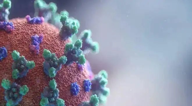 四川现国内未有过的奥密克戎变异株！此变异株有哪些变异点？