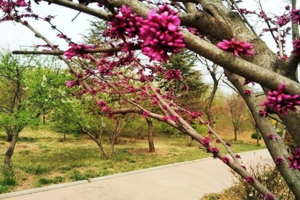 春夏咻冬是什么意思