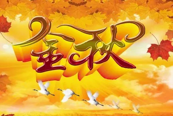 金秋季节一地金打一生肖