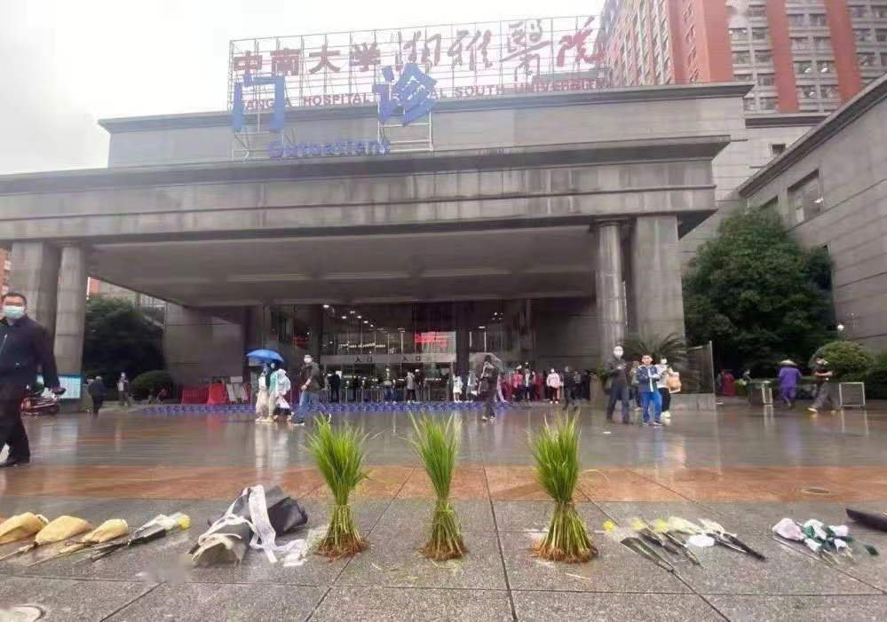 “湘雅医院门口的三束水稻”引热议,这代表了什么?