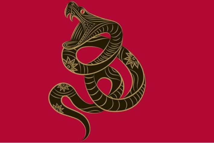 水到渠成什么生肖