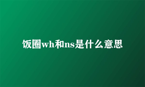 饭圈wh和ns是什么意思
