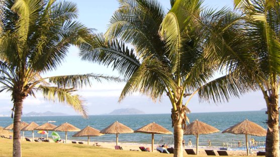 一家四口人想去三亚旅游，大概需要花费多少钱呢？