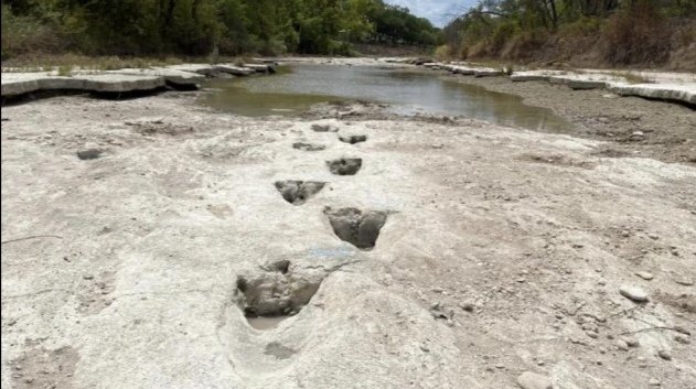 美国河流干旱露出1亿年前恐龙脚印，恐龙最早出现在哪个时期？