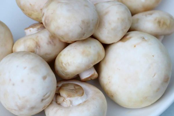 口蘑中的口字源自于