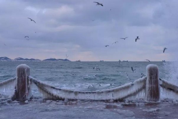 大海被冻住了！海浪冲上沙滩结冰，场面犹如末日奇观，网友对此有何表示？