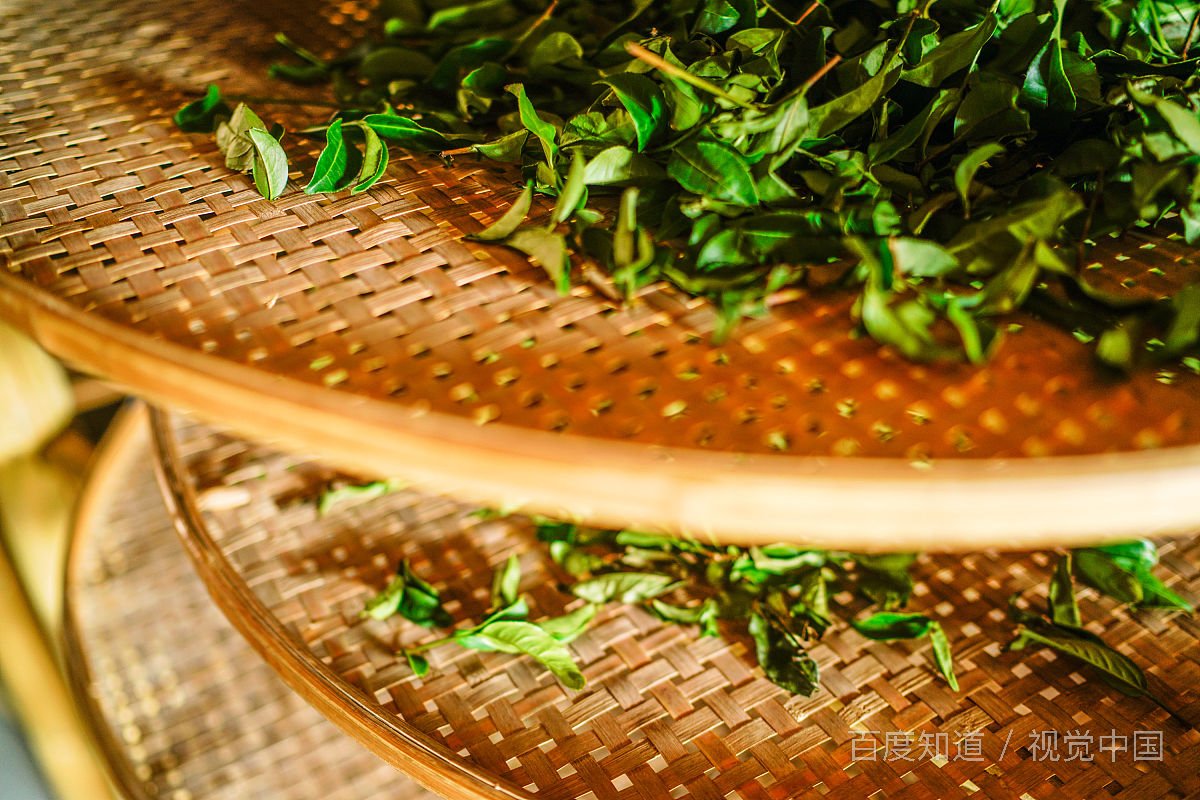 送礼不送茶叶是什么原因呢？