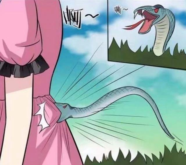 重庆女子江边散步被毒蛇咬伤，几分钟后便意识模糊，身体出现了哪些症状？