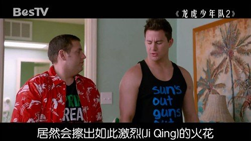 龙虎少年队2的介绍