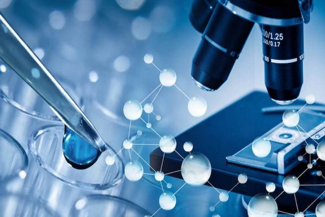 我为什么逃离科研