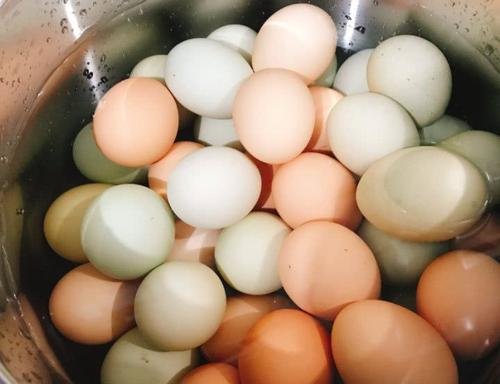 韩国鸡蛋价格暴涨四成，国内的鸡蛋价格近期为何也偏高呢？