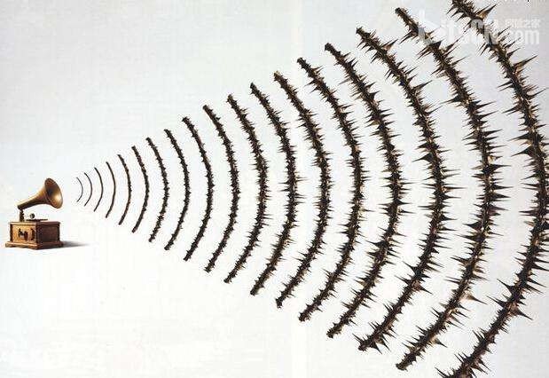 播种的播可以组什么词