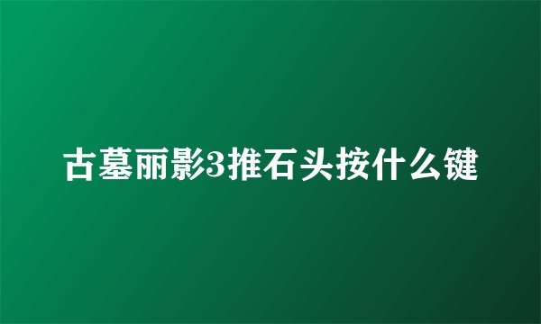 古墓丽影3推石头按什么键