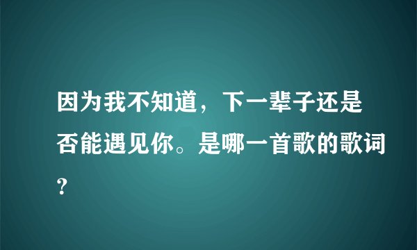 因为我不知道，下一辈子还是否能遇见你。是哪一首歌的歌词？