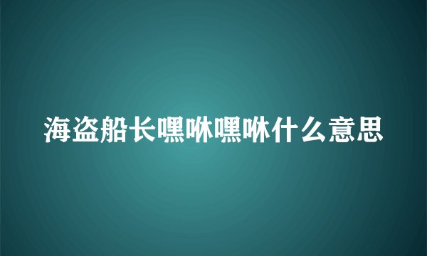 海盗船长嘿咻嘿咻什么意思