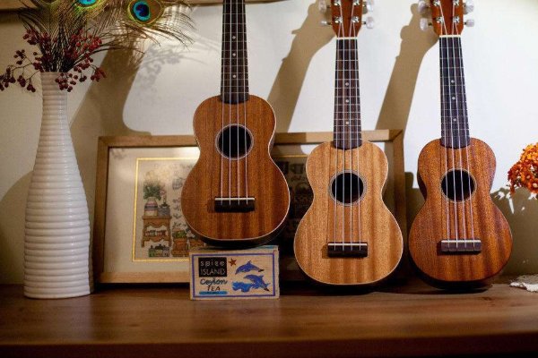 尤克里里是什么乐器？