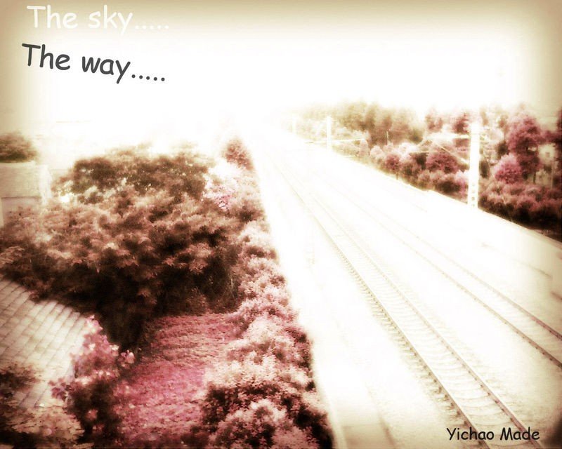 天涯电影截图帖，图片很多都刷不开。选中的时候明显看出有图，但点右键没有“显示图片”选项。