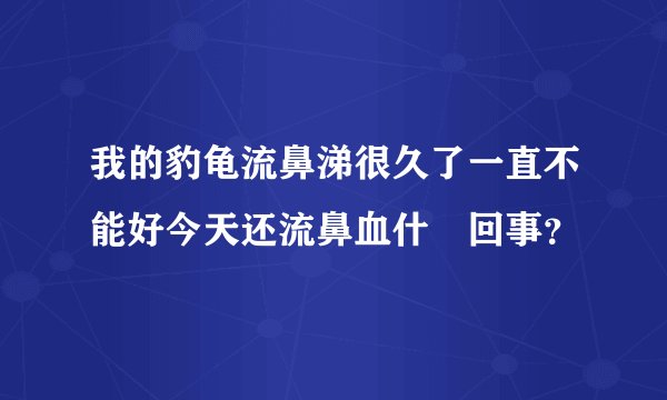 我的豹龟流鼻涕很久了一直不能好今天还流鼻血什麼回事？