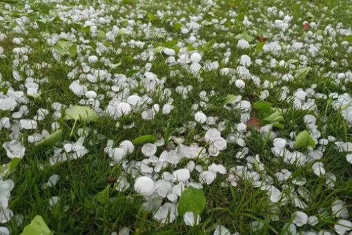 雹子的意思拼音