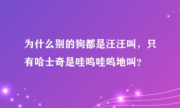 为什么别的狗都是汪汪叫，只有哈士奇是哇呜哇呜地叫？