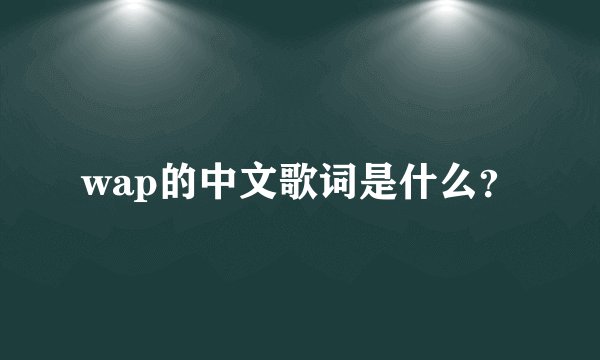 wap的中文歌词是什么？