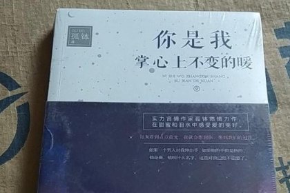 点燃我温暖你小说在哪里看