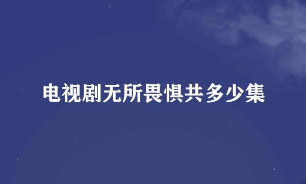 电视剧无所畏惧共多少集