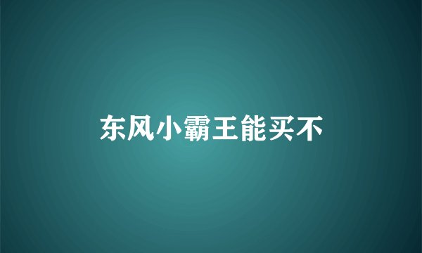 东风小霸王能买不