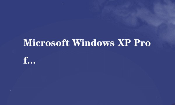 Microsoft Windows XP Professional Service Pack 2 (Build 2600) 是什么意思？
