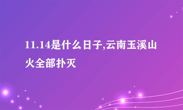 11.14是什么日子,云南玉溪山火全部扑灭